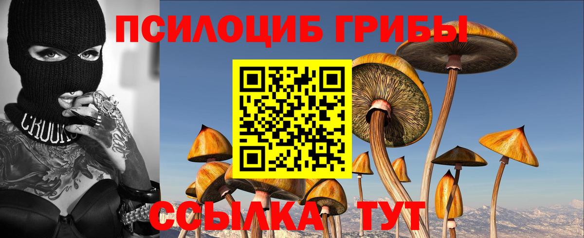 Псилоцибиновые грибы Magic Shrooms Гулькевичи