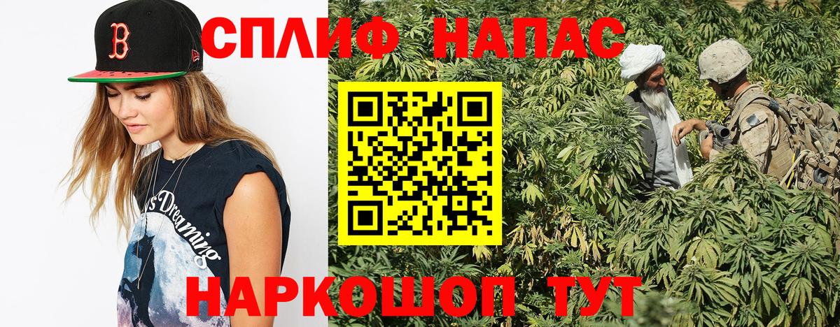 Шишки марихуана планчик Гулькевичи